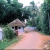 rayyappan