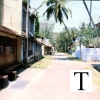 southern_village_jpg