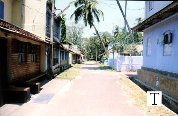 southern_village_jpg