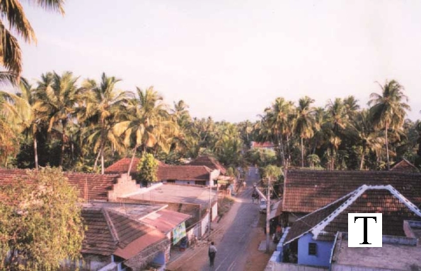 view_from_dotcompals1_jpg
