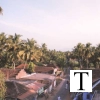 view_from_dotcompals2_jpg