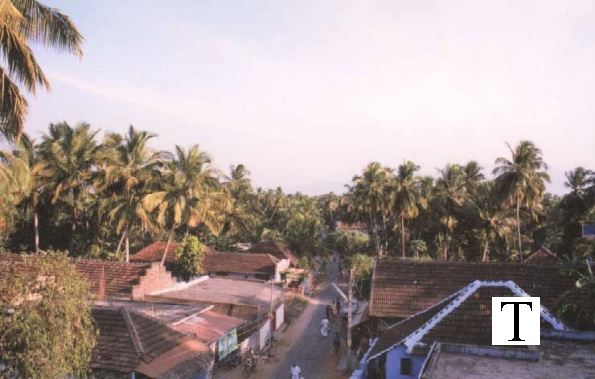 view_from_dotcompals2_jpg