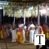 porattu-kali-palakkad-002