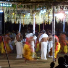 porattu-kali-palakkad-002