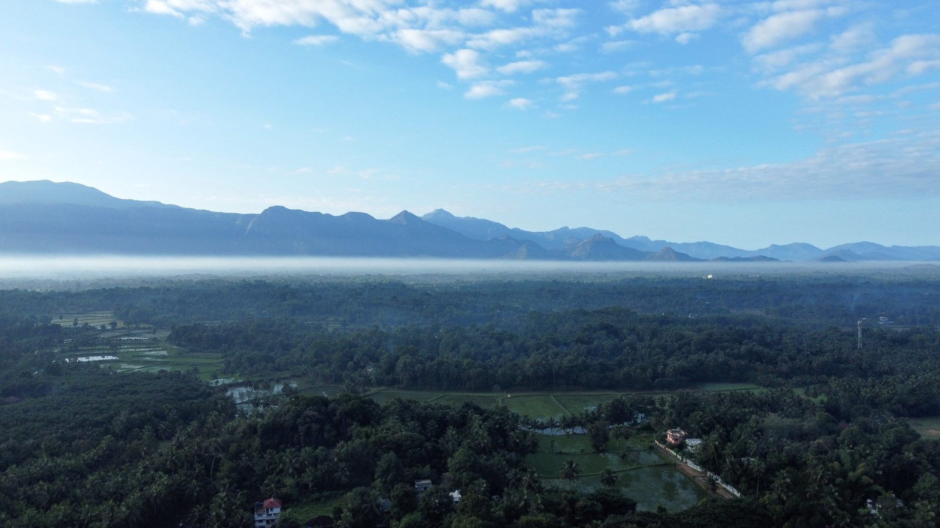 Western Ghats morning mist as seen from Tattamangalam